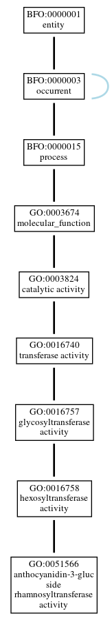 Graph of GO:0051566