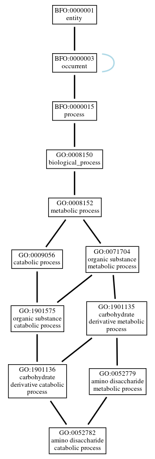 Graph of GO:0052782