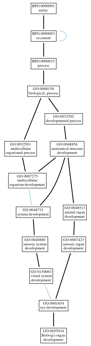 Graph of GO:0055034