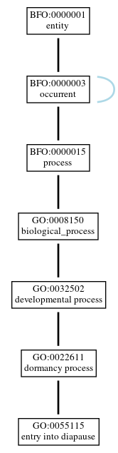 Graph of GO:0055115