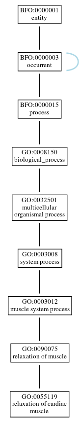 Graph of GO:0055119