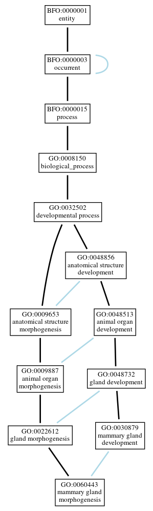 Graph of GO:0060443