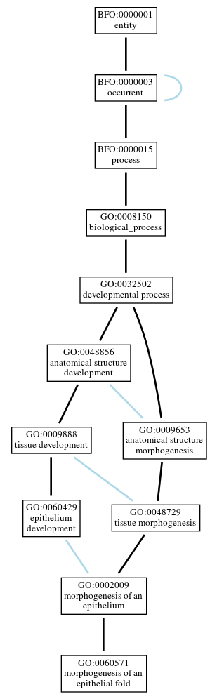 Graph of GO:0060571