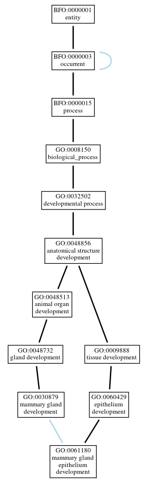 Graph of GO:0061180