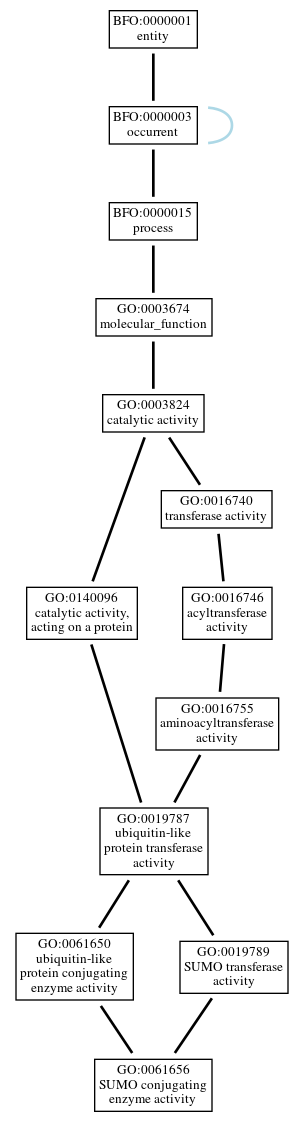 Graph of GO:0061656