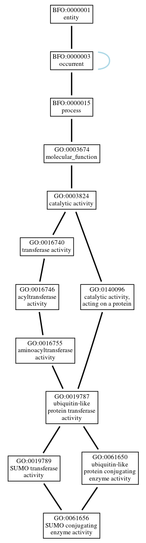 Graph of GO:0061656