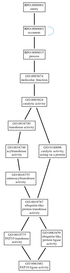 Graph of GO:0061661