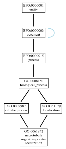 Graph of GO:0061842