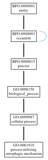 Graph of GO:0061919
