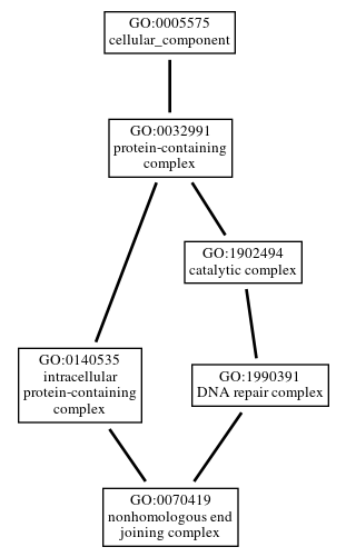 Graph of GO:0070419