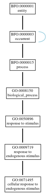 Graph of GO:0071495