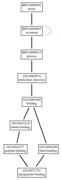 Graph of GO:0071723