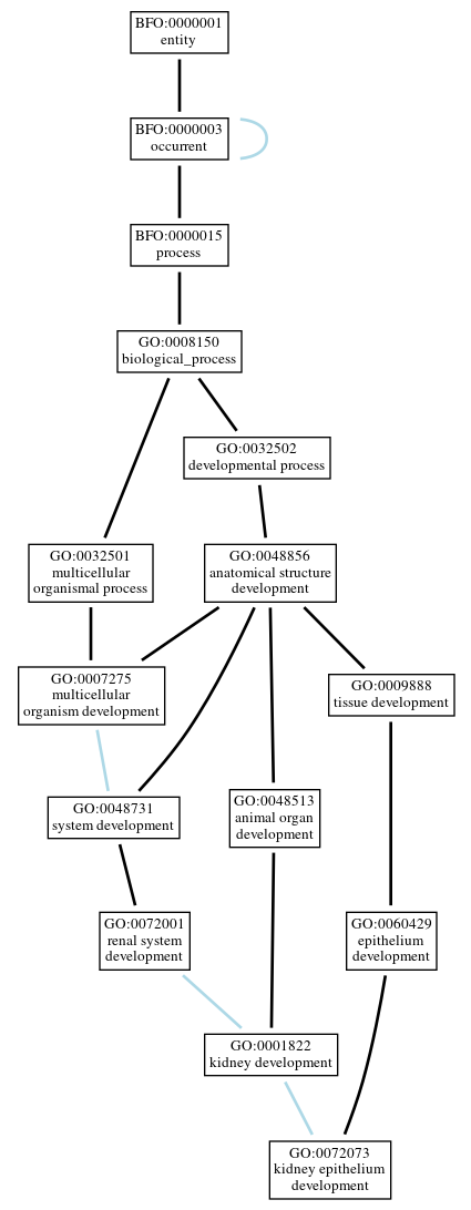 Graph of GO:0072073