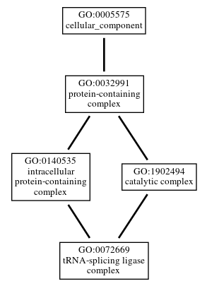Graph of GO:0072669