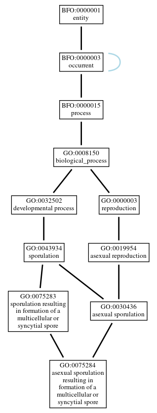 Graph of GO:0075284