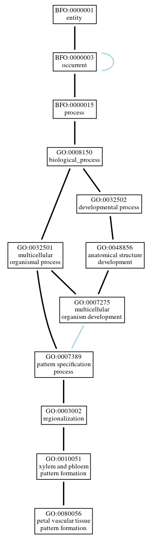 Graph of GO:0080056