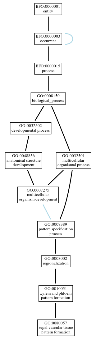 Graph of GO:0080057