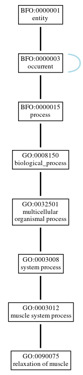 Graph of GO:0090075