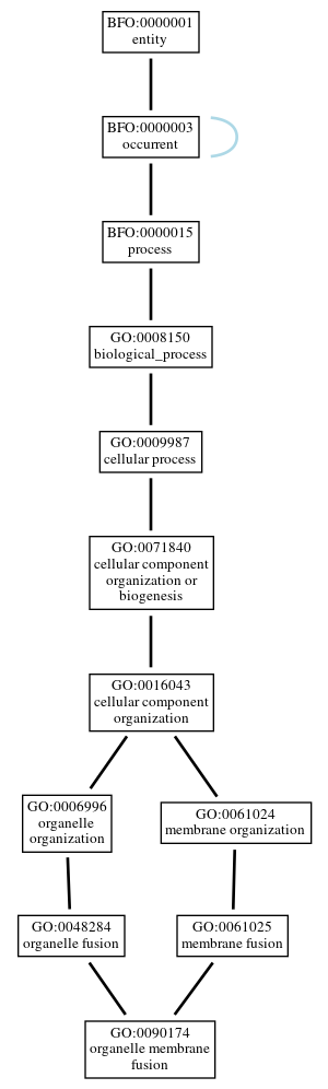 Graph of GO:0090174