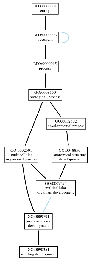 Graph of GO:0090351