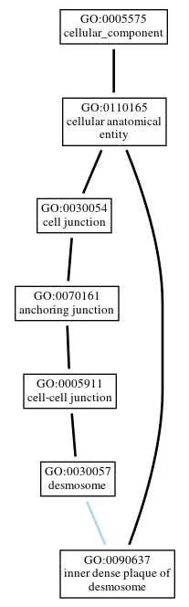 Graph of GO:0090637