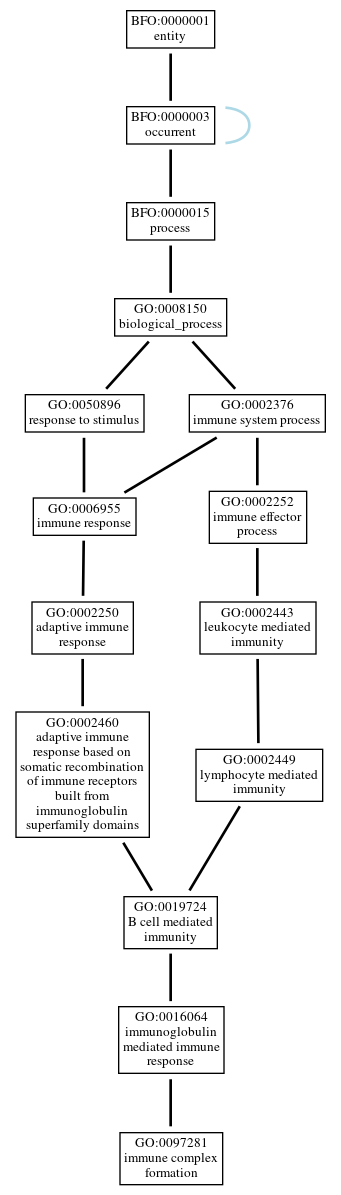 Graph of GO:0097281