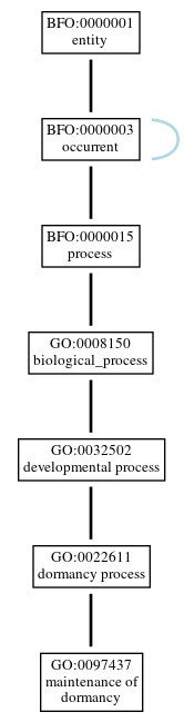 Graph of GO:0097437
