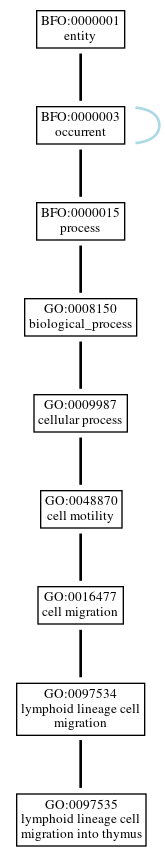 Graph of GO:0097535