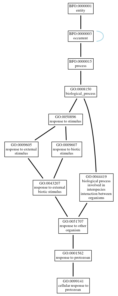 Graph of GO:0099141
