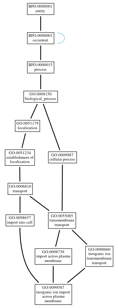 Graph of GO:0099587