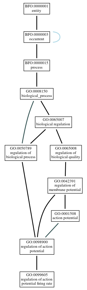 Graph of GO:0099605