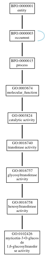 Graph of GO:0102426