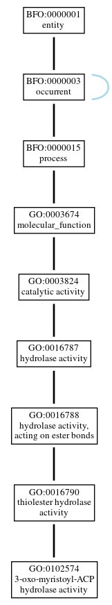 Graph of GO:0102574