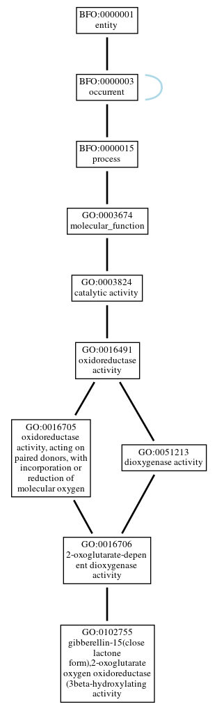 Graph of GO:0102755