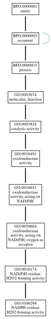 Graph of GO:0106294