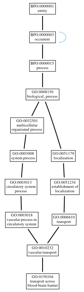 Graph of GO:0150104