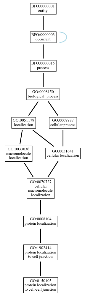 Graph of GO:0150105