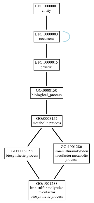Graph of GO:1901288