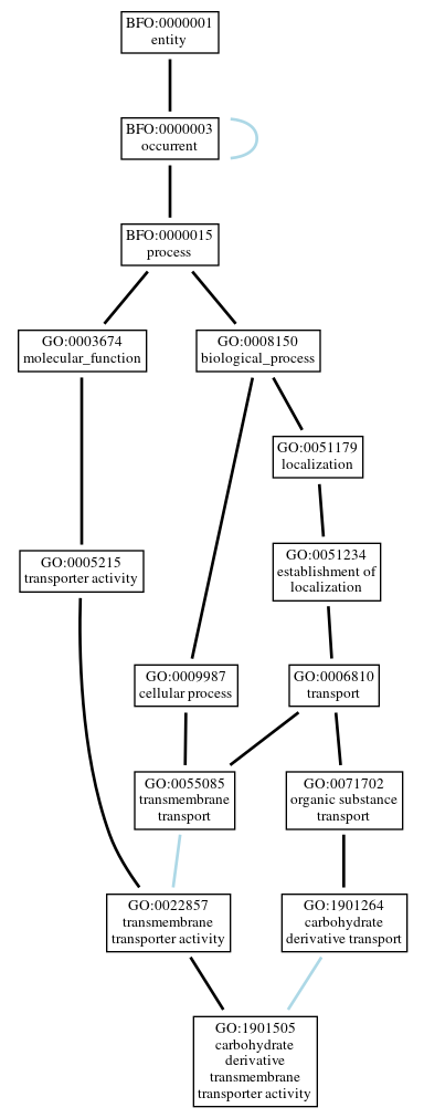 Graph of GO:1901505