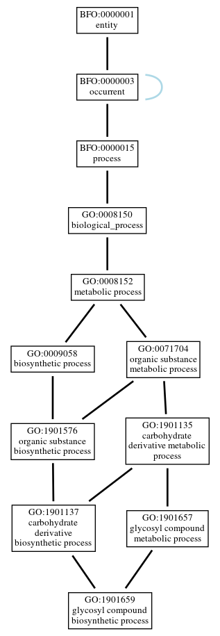 Graph of GO:1901659