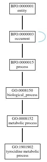 Graph of GO:1901902