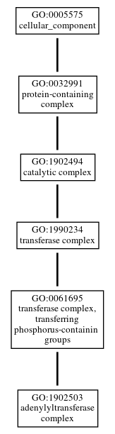 Graph of GO:1902503