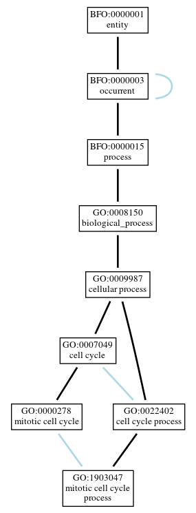 Graph of GO:1903047
