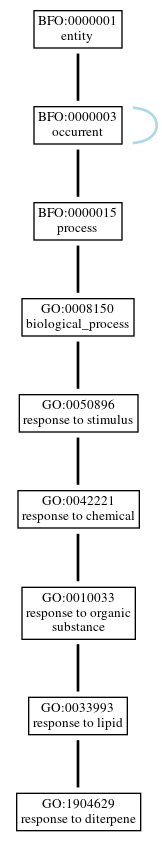 Graph of GO:1904629