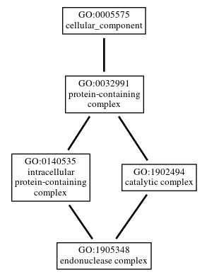 Graph of GO:1905348