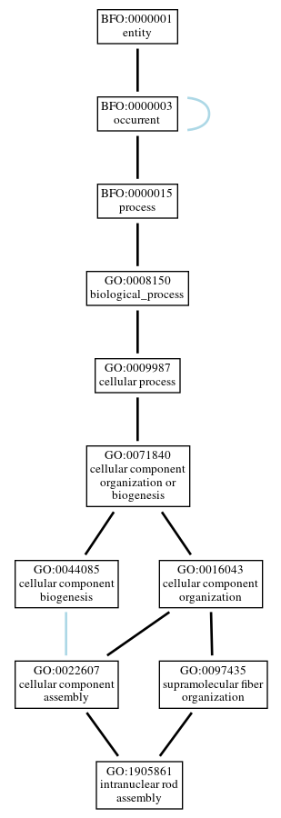 Graph of GO:1905861