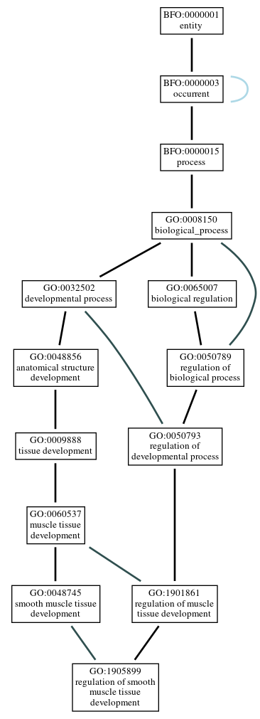 Graph of GO:1905899