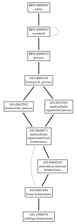 Graph of GO:1990079