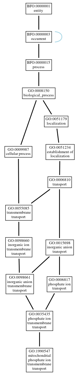 Graph of GO:1990547