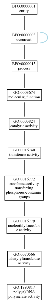 Graph of GO:1990817